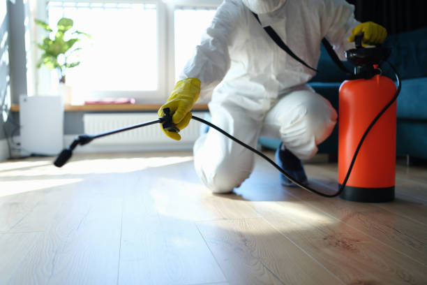 Reliable Infectious Disease Decontamination contractor in Victor, ID by Trauma Clean Pros